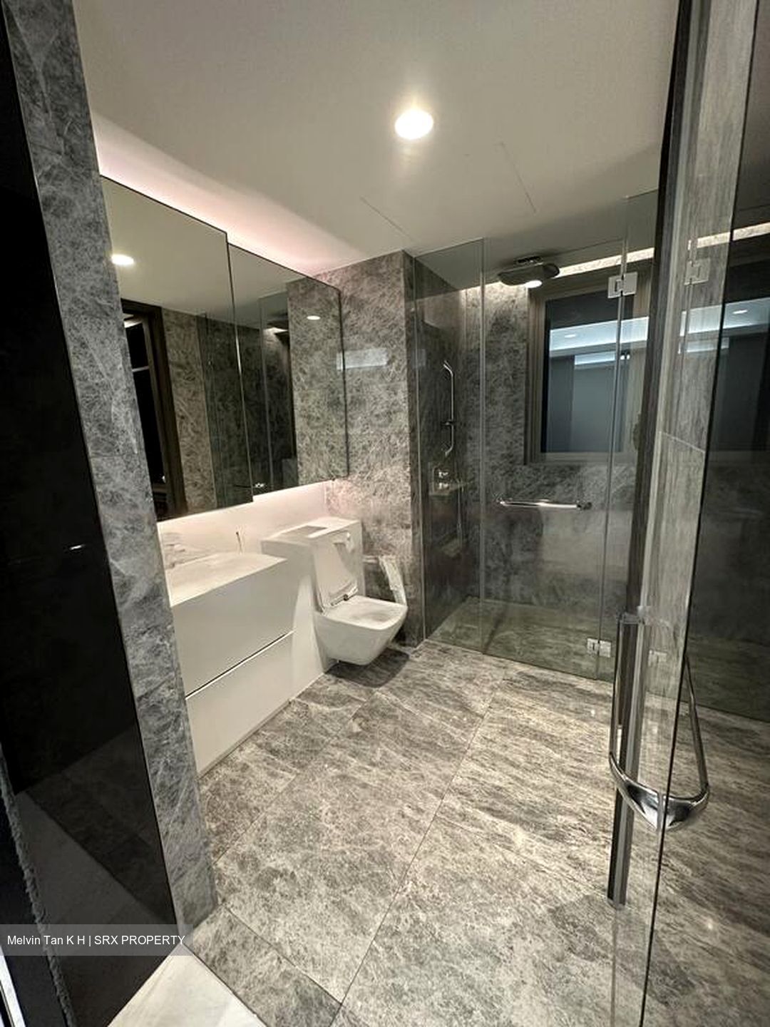 Cairnhill Nine (D9), Apartment #484231811